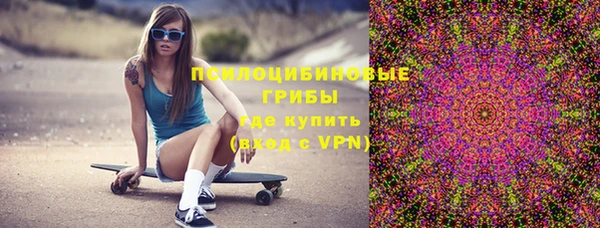 Альфа ПВП Арсеньев