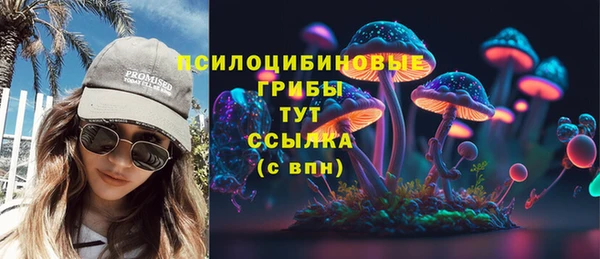 твердый Балахна