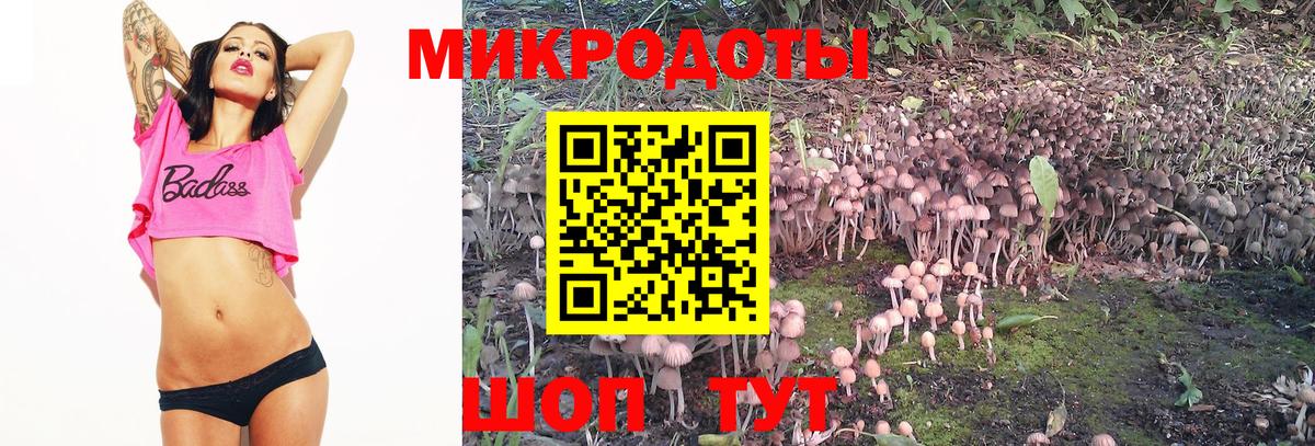Псилоцибиновые грибы ЛСД Спасск-Дальний