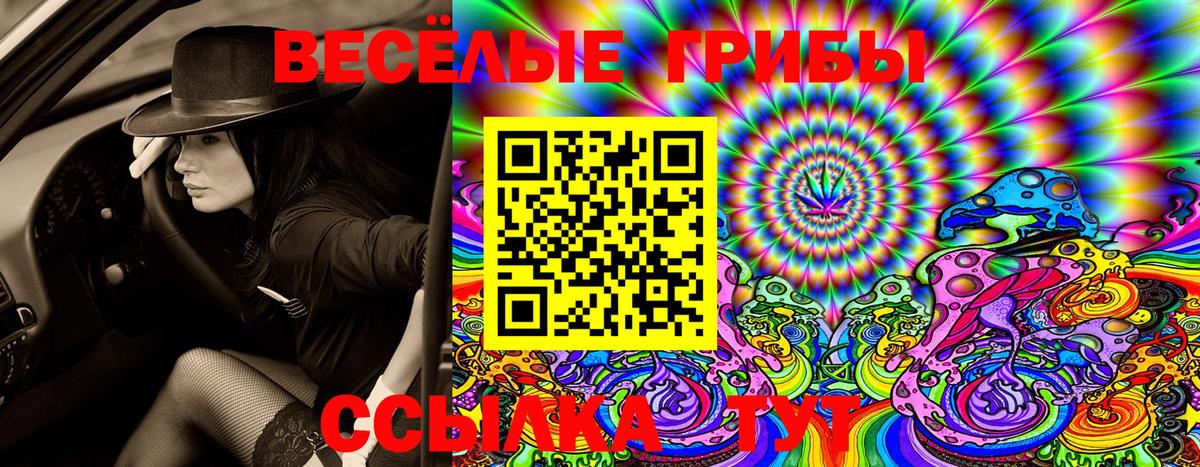 Галлюциногенные грибы GOLDEN TEACHER  Вход с VPN  Спасск-Дальний  Псилоцибиновые грибы Magic Shrooms 